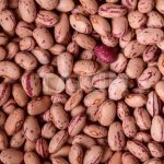 Barlotti Beans | Beans Suppliers