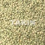 Green Lentils | Beans Suppliers